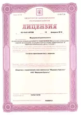 Лицензия 1